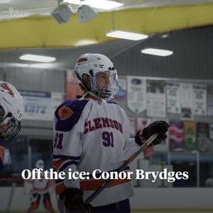 Image post by @thetigersports on Instagram