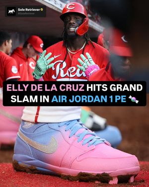 Image post by @soleretriever on Instagram