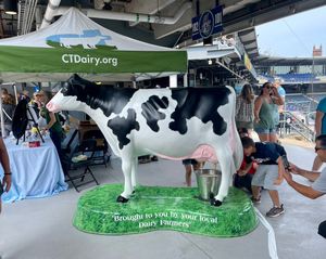 Image post by @GoYardGoats on Twitter