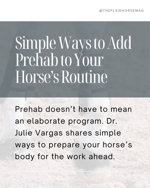 Image post by @theplaidhorsemag on Instagram