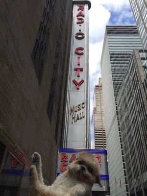 Image post by @RadioCityMusicHall on Facebook