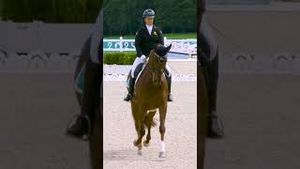 Video post by @paralympics on YouTube