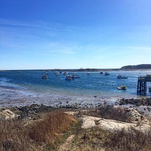 Image post by @themainemag on Instagram