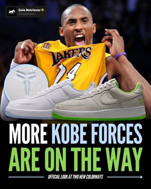 Image post by @soleretriever on Instagram