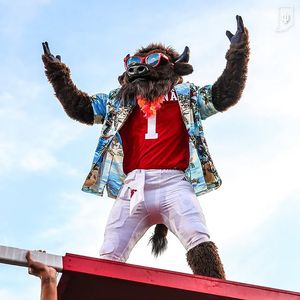 Image post by @hoosierthebison on Instagram