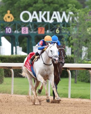 Image post by @thebloodhorse on Instagram