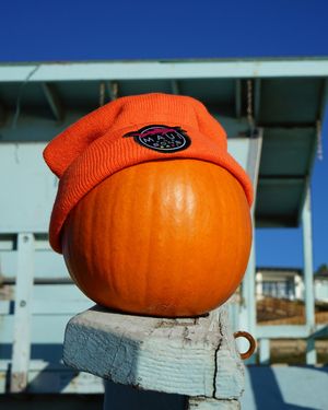 Image post by @mauiandsons on Instagram