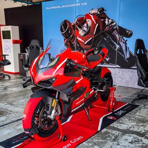 Image post by @panigalers on Instagram