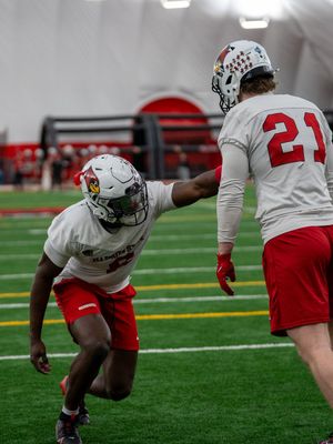 Image post by @RedbirdFB on Twitter