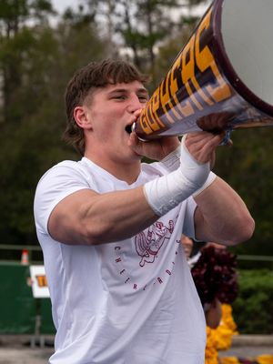 Image post by @gophercheer on Instagram