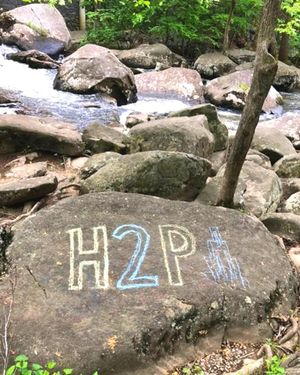 Image post by @pittadmissions on Instagram