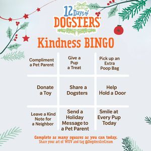 Image post by @dogstersicecream on Instagram