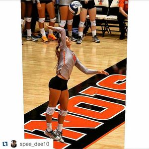 Image post by @illinivball on Instagram