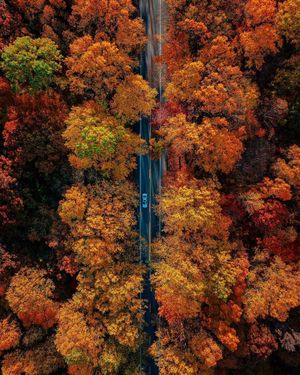 Image post by @droneartgallery on Instagram