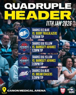 Image post by @sheffieldsharksjr on Instagram