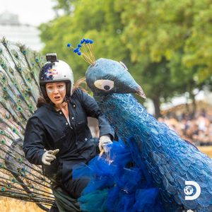 Image post by @Discovery on Twitter