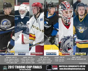 Image post by @BDEHockey on Twitter