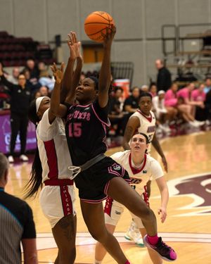 Image post by @siu_wbasketball on Instagram