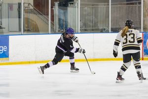 Image post by @lopeswhockey on Instagram