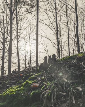 Image post by @cristan.nature.photography on Instagram