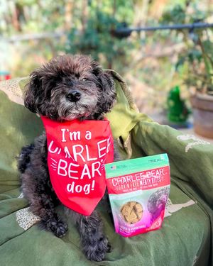 Image post by @charlee_bear_dogtreats on Instagram