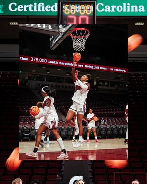 Image post by @gamecockwbb on Instagram