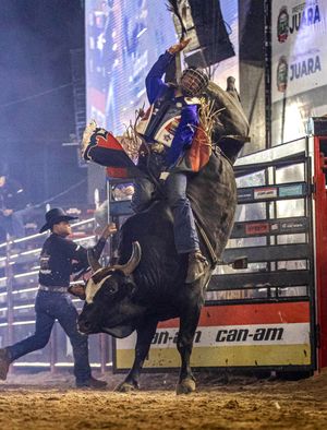 Image post by @pbrbrazil on Instagram