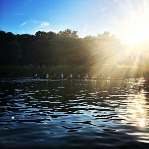 Image post by @templewrowing on Instagram