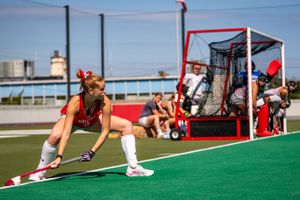 Image post by @terrierfh on Instagram