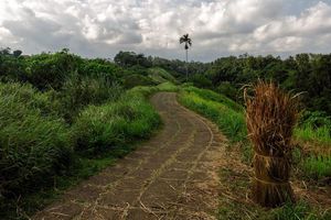 Image post by @jc_burke on Instagram