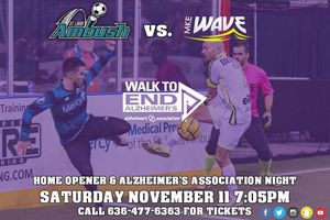 Image post by @stlouisambush on Instagram