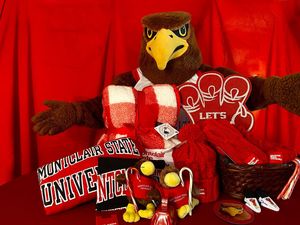 Image post by @rockyredhawk on Instagram