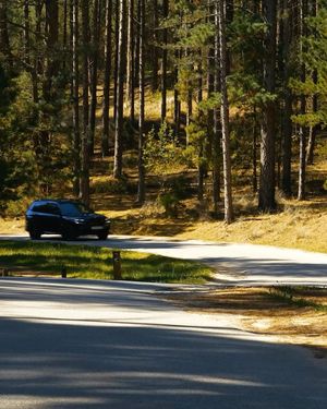 Image post by @bmw on Instagram