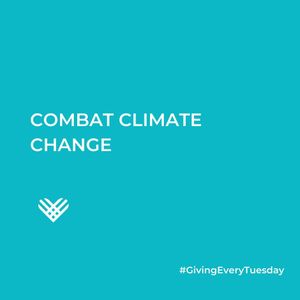 Image post by @givingtuesday on Instagram