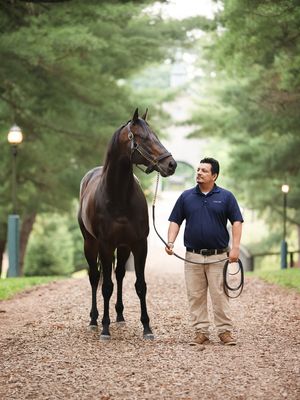 Image post by @coolmoreamerica on Instagram