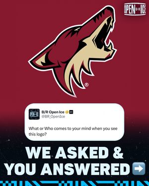 Video post by @br_openice on TikTok