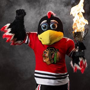 Image post by @bhawktommyhawk on Instagram