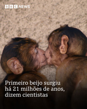 Image post by @bbcbrasil on Instagram