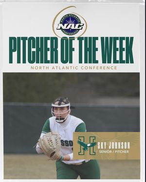 Image post by @hussonsoftball on Instagram