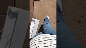 Video post by @lexymeyers on YouTube