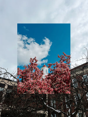 Image post by @unlincoln on Instagram