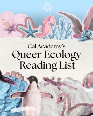 Image post by @calacademy on Instagram