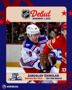 Image post by @theahl on Instagram