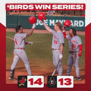 Image post by @isuredbirdbaseball on Instagram