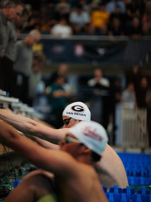 Image post by @ugaswimdive on Instagram