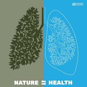 Image post by @unitednations on Instagram