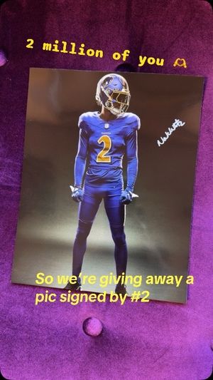 Video post by @ravens on TikTok