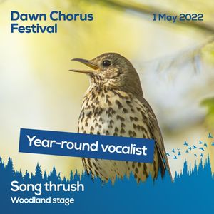 Image post by @rspb on Instagram