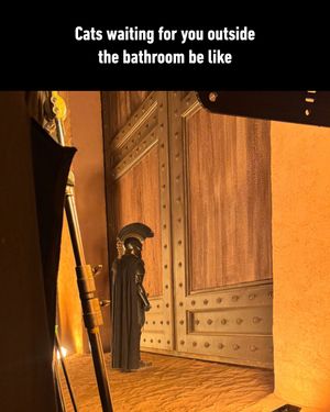 Image post by @9gag on Instagram