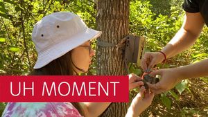 Video post by @UHouston on Twitter